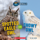 Spotted Eagle-Owl or Snowy Owl (Wild World: Hot and Cold Animals) By Eric Geron Cover Image