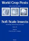 Soft Scale Insects: Volume 7b (World Crop Pests #7) Cover Image