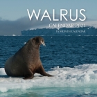 Walrus Calendar 2021: 16 Month Calendar Cover Image