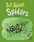 All about Spiders: Leveled Reader Gold Level 22 By Rg Rg (Prepared by) Cover Image