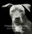 Finding Home: Shelter Dogs and Their Stories (A photographic tribute to rescue dogs) Cover Image