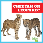 Cheetah or Leopard? (Spot the Differences) Cover Image