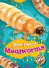 Mealworms (Creepy Crawlies) By Kari Schuetz Cover Image