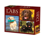 Labs 2024 6.2 X 5.4 Box Calendar By Willow Creek Press Cover Image