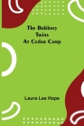 The Bobbsey Twins at Cedar Camp Cover Image