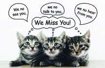 We Miss You Postcard (Pkg 25) Miss You By Broadman Church Supplies Staff (Contribution by) Cover Image