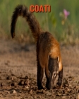 Coati: Beautiful Pictures & Interesting Facts Children Book About Coati By Katie Mercer Cover Image
