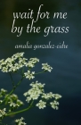 wait for me by the grass By Amalia Gonzalez-Cidre, Teresa Vespa (Illustrator) Cover Image