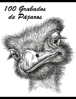 100 Grabados de Pájaros Cover Image