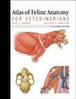 Atlas of Feline Anatomy for Veterinarians Cover Image