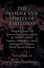 The Devils And Evil Spirits Of Babylonia - Being Babylonian And Assyrian Incantations Against The Demons, Ghouls, Vampires, Hobgoblins, Ghosts, And Ki By R. Campbell Thompson Cover Image