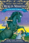 Stallion by Starlight (Magic Tree House (R) Merlin Mission #21) By Mary Pope Osborne, Sal Murdocca (Illustrator) Cover Image