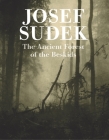 Josef Sudek: Ancient Forest of the Beskids Cover Image