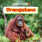 Orangutans By Nancy Dickmann Cover Image