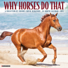 Why Horses Do That 2025 12 X 12 Wall Calendar By Willow Creek Press Cover Image