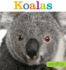 Seedlings: Koalas By Kate Riggs Cover Image