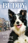 Buddy By M.H. Herlong Cover Image
