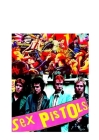 Sex Pistols: The Shocking Truth! By J. Ramone Cover Image