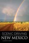 Scenic Driving New Mexico By Laurence Parent Cover Image
