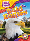 Bald Eagles By Janie Scheffer Cover Image