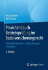 Praxishandbuch Betriebsprüfung Im Sozialversicherungsrecht: Optimal Vorbereiten - Nachzahlungen Vermeiden Cover Image