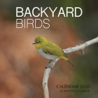 Backyard Birds Calendar 2020: 16 Month Calendar By Golden Print Cover Image