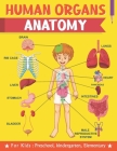 Human Organs Anatomy For Kids Preschool kindergarten Elementary: Learning human anatomy kids & toddlers, book for preschooler, kindergarten for Boys, By Thomas Johan Cover Image