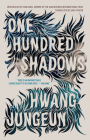 One Hundred Shadows By Hwang Jungeun, Jung Yewon (Translated by) Cover Image