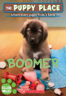 Boomer (The Puppy Place #37) By Ellen Miles Cover Image