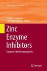 Zinc Enzyme Inhibitors: Enzymes from Microorganisms (Topics in Medicinal Chemistry #22) By Claudiu T. Supuran (Editor), Clemente Capasso (Editor) Cover Image