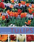 Gardening with Tulips By Michael King Cover Image