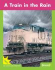 A Train in the Rain (Word Families) By Jenna Lee Gleisner Cover Image