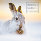 British Wildlife Photography Awards 9 By Maggie Gowan Cover Image