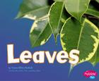 Leaves Cover Image