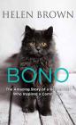 Bono By Helen Brown Cover Image