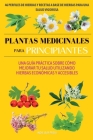 Plantas medicinales para principiantes: Una guía práctica sobre cómo mejorar tu salud utilizando hierbas económicas y accesibles By Indie Leaf Press Cover Image
