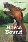 Horse Bound: The View from the Top of Mount Manure By Joanne M. Friedman Cover Image