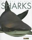 Amazing Animals: Sharks Cover Image