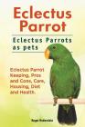 Eclectus Parrot. Eclectus Parrots as pets. Eclectus Parrot Keeping, Pros and Cons, Care, Housing, Diet and Health. Cover Image