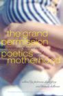 The Grand Permission: New Writings on Poetics and Motherhood By Patricia Dienstfrey (Editor), Brenda Hillman (Editor), Rachel Blau Duplessis (Other) Cover Image