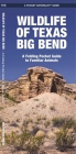 Wildlife of Texas Big Bend: A Folding Pocket Guide to Familiar Animals By Waterford Press Cover Image