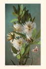 The Vintage Journal Eucalyptus Blossoms By Found Image Press (Producer) Cover Image