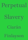 Perpetual Slavery By Ciarán Finlayson Cover Image
