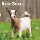 Baby Goats 2020 Square Cover Image