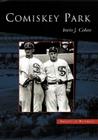 Comiskey Park (Images of Baseball) By Irwin J. Cohen Cover Image