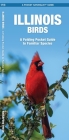Illinois Birds: An Introduction to Familiar Species (Pocket Naturalist Guide) By James Kavanagh, Waterford Press, Raymond Leung (Illustrator) Cover Image