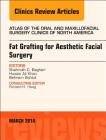 Fat Grafting for Aesthetic Facial Surgery, an Issue of Atlas of the Oral & Maxillofacial Surgery Clinics: Volume 26-1 (Clinics: Dentistry #26) By Shahrokh C. Bagheri, Husain Ali Khan, Behnam Bohluli Cover Image