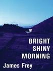 Bright Shiny Morning By James Frey Cover Image
