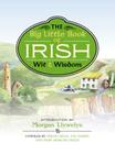 Big Little Book of Irish Wit & Wisdom By Morgan Llywelyn (Introduction by), Mary Dowling Daley, Pat Fairon, Fergus Kelly Cover Image