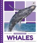 Whales By Emma Bassier Cover Image